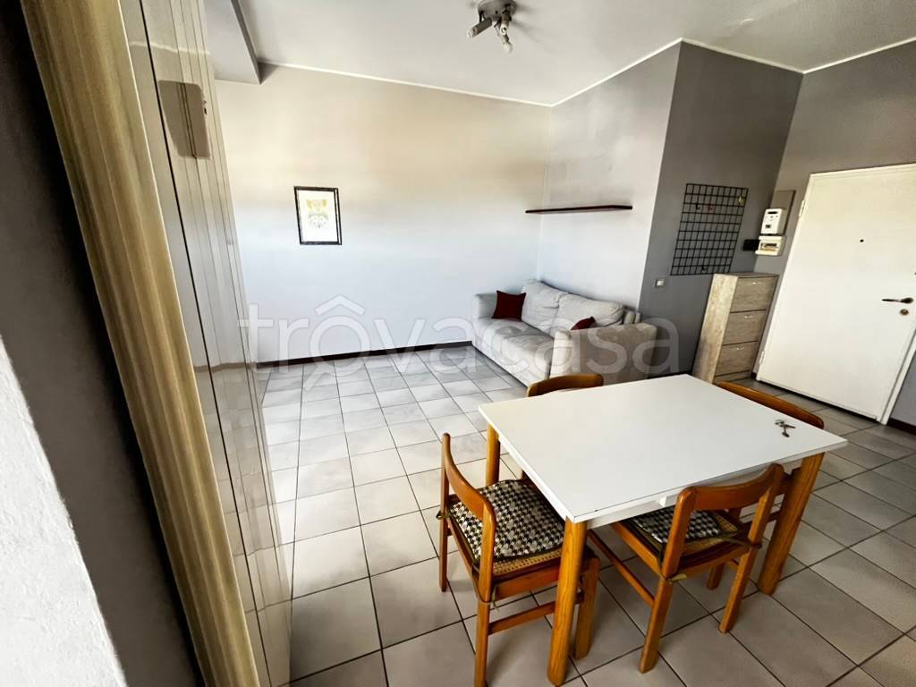 immagine annuncio 5 di 12