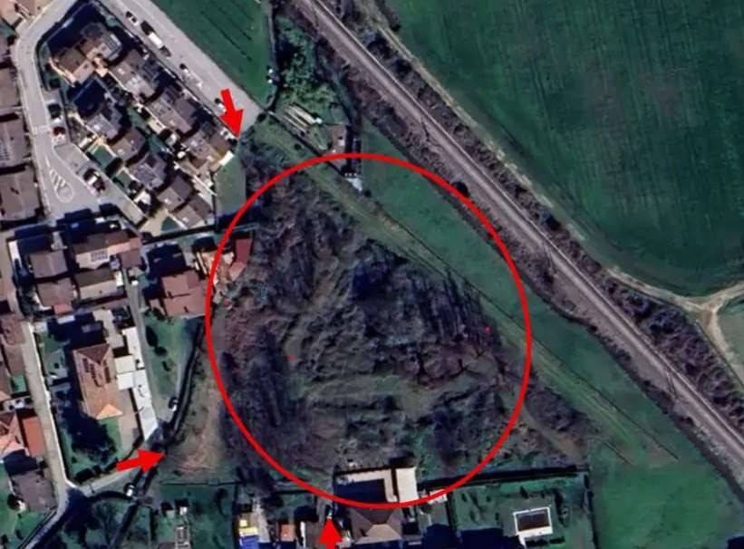 immagine annuncio 1 di 14