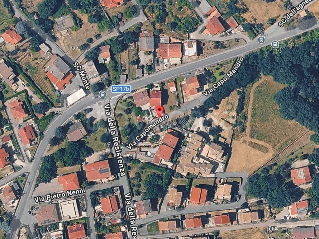 immagine annuncio 2 di 4