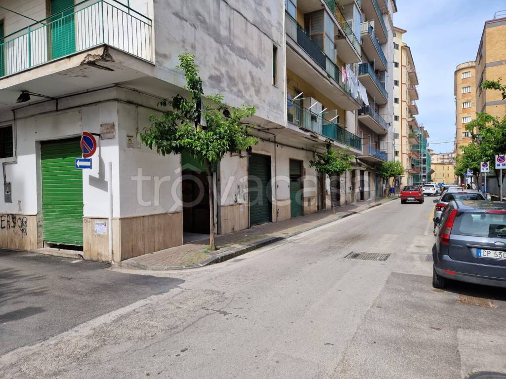 immagine annuncio 1 di 8