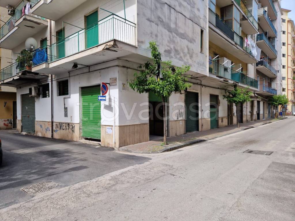 immagine annuncio 2 di 8