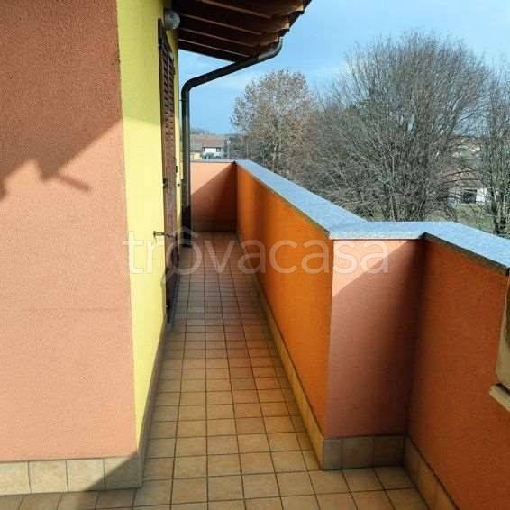 immagine annuncio 7 di 12