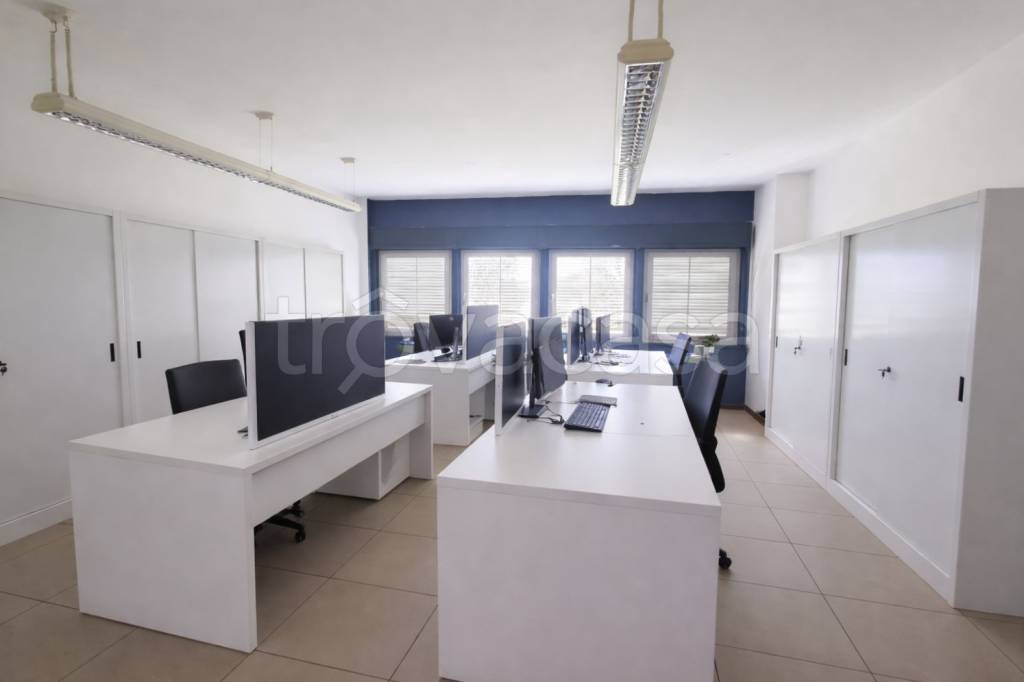 immagine annuncio 2 di 6