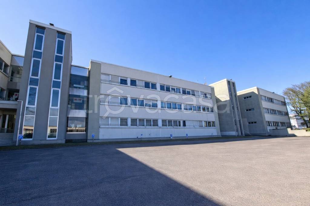 immagine annuncio 1 di 6