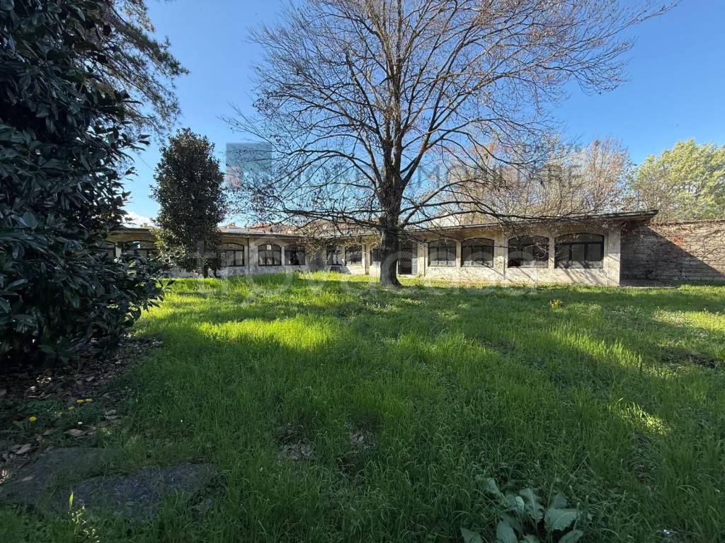 immagine annuncio 9 di 11