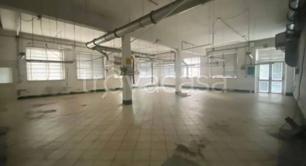 immagine annuncio 2 di 12