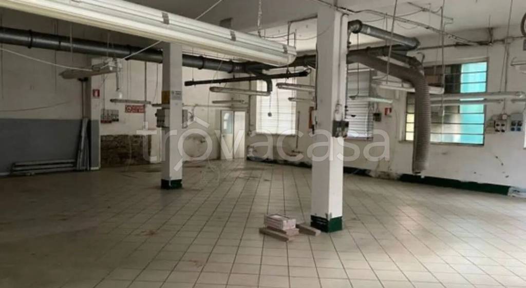 immagine annuncio 3 di 12