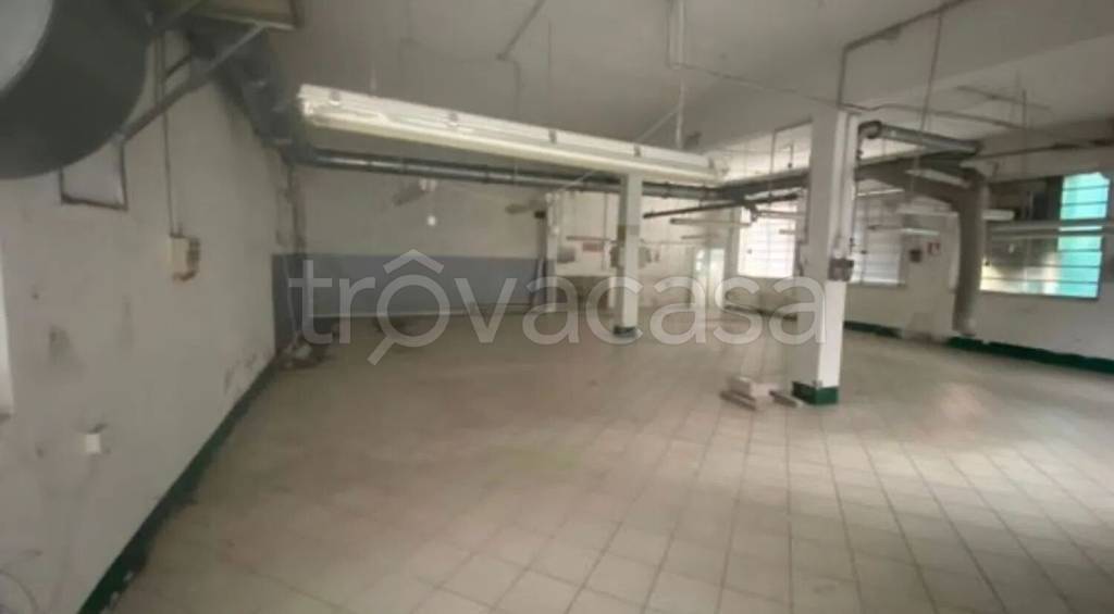 immagine annuncio 4 di 12