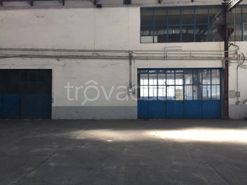 immagine annuncio 2 di 11