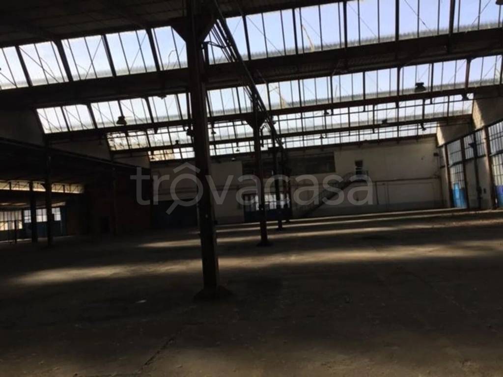 immagine annuncio 3 di 11