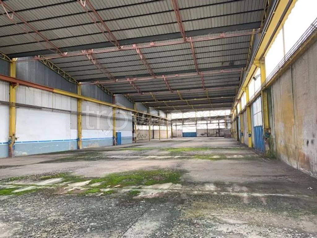 immagine annuncio 4 di 11