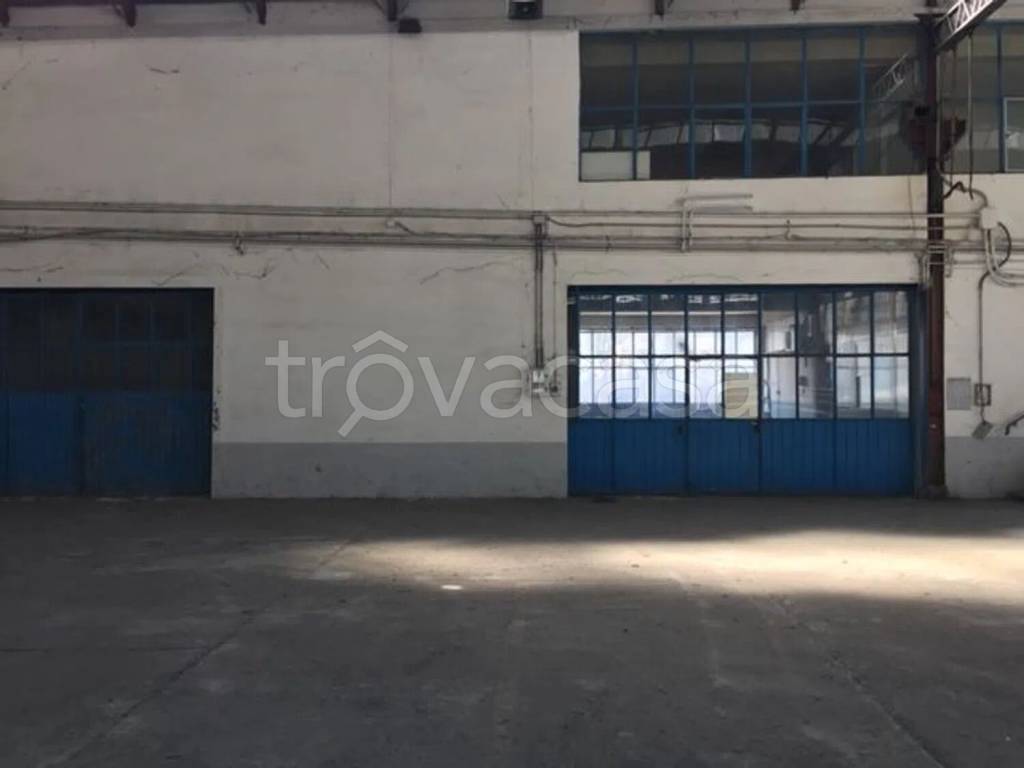 immagine annuncio 5 di 11