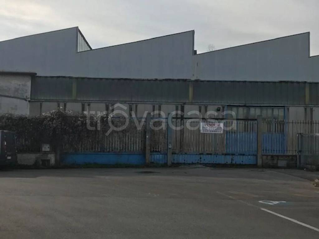 immagine annuncio 6 di 11