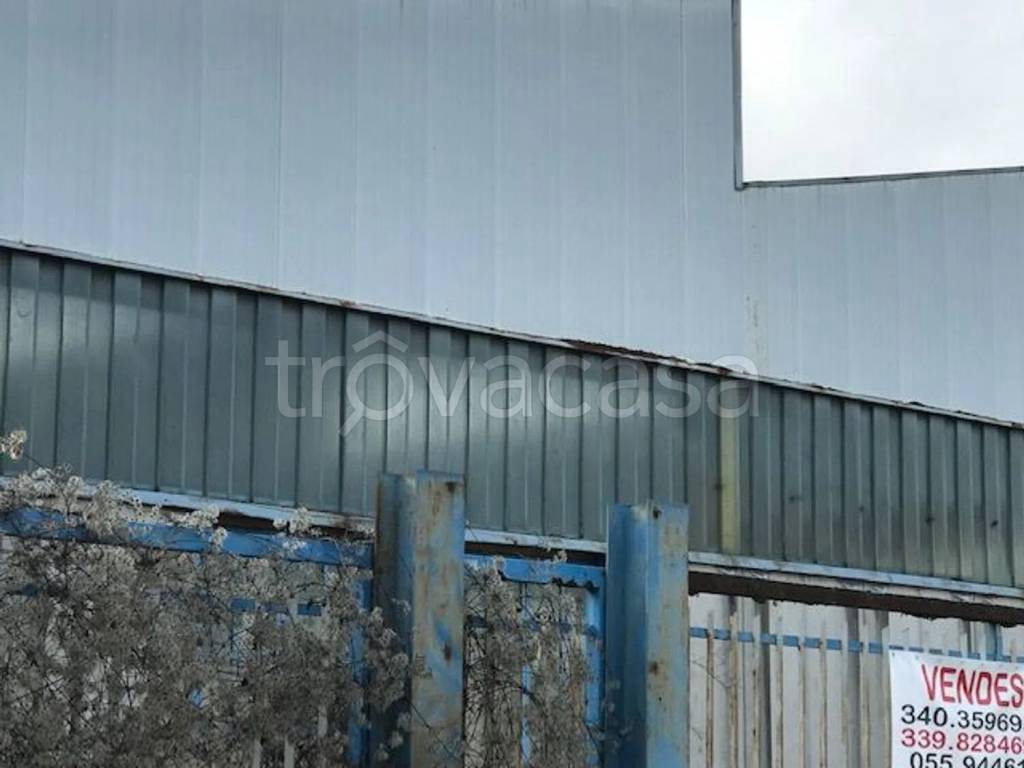 immagine annuncio 7 di 11