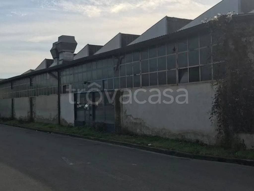 immagine annuncio 8 di 11