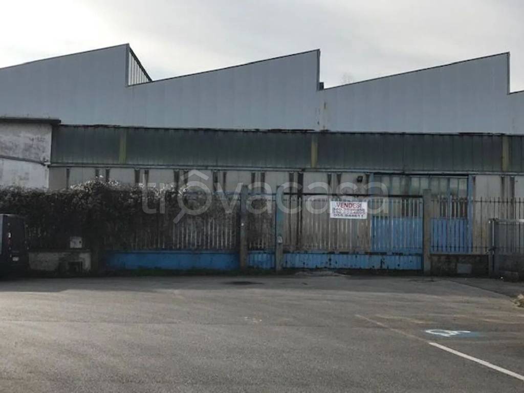 immagine annuncio 9 di 11