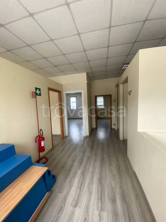 immagine annuncio 2 di 8