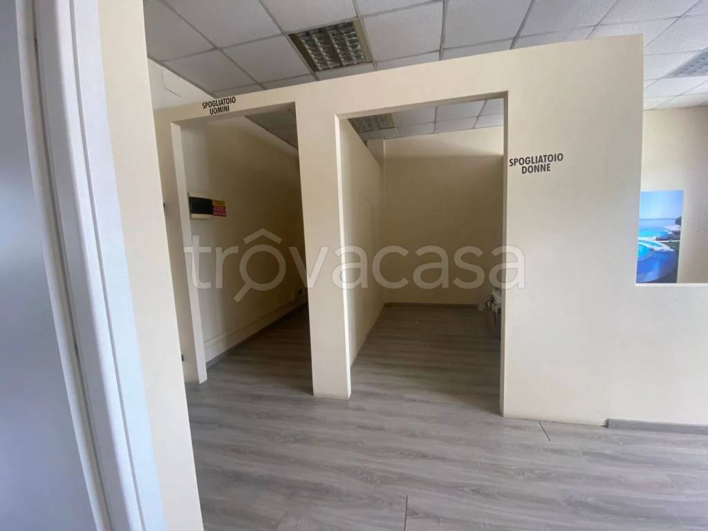 immagine annuncio 5 di 8