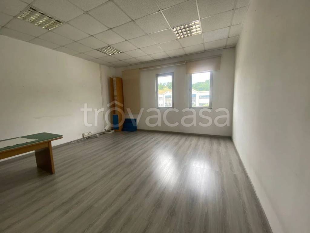 immagine annuncio 6 di 8