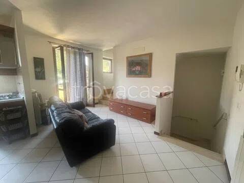 immagine annuncio 2 di 9