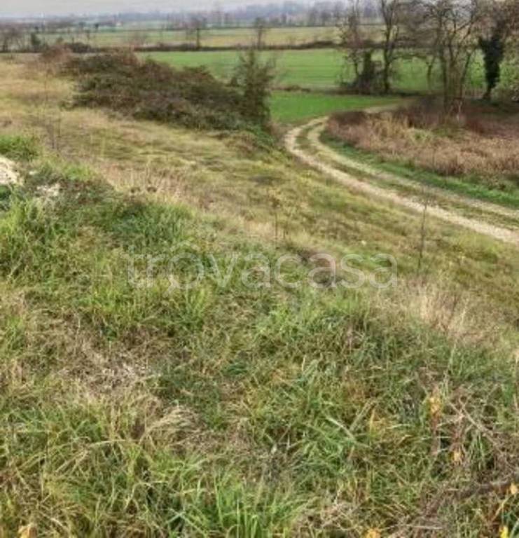 immagine annuncio 2 di 12