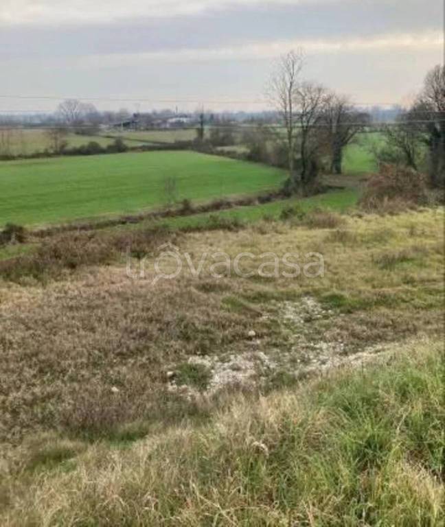 immagine annuncio 3 di 12