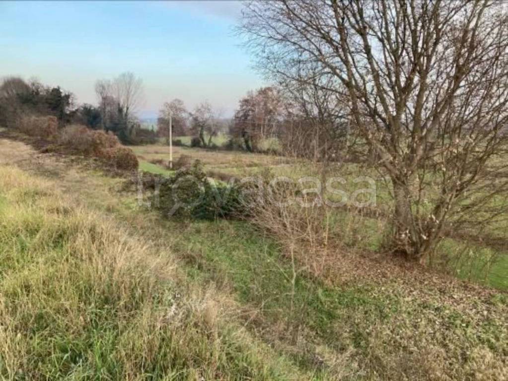 immagine annuncio 5 di 12