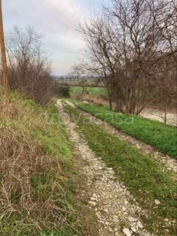 immagine annuncio 7 di 12