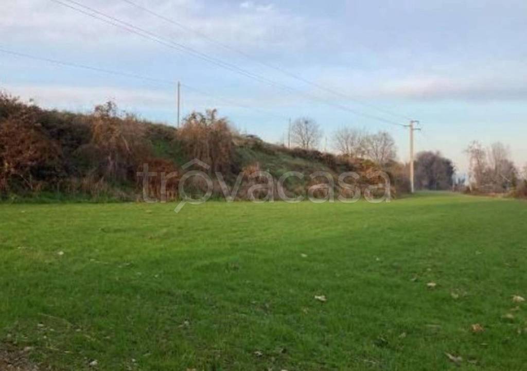 immagine annuncio 8 di 12