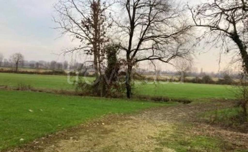 immagine annuncio 9 di 12