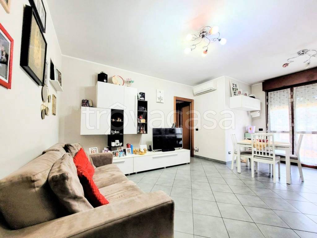 immagine annuncio 6 di 15