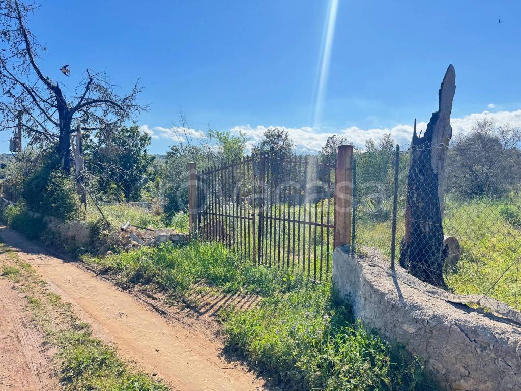 immagine annuncio 1 di 11