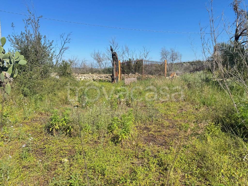 immagine annuncio 8 di 11