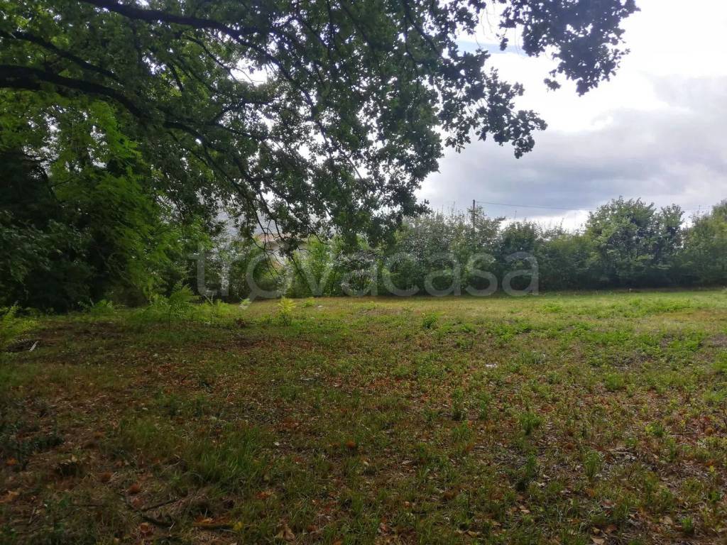 immagine annuncio 4 di 7