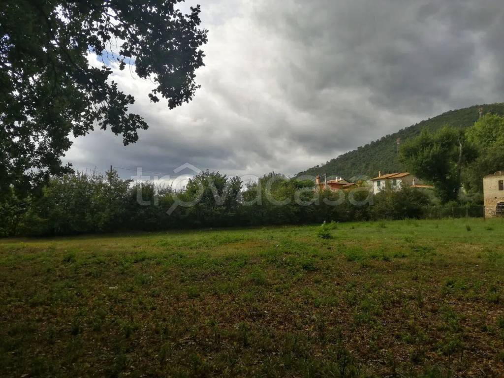 immagine annuncio 5 di 7