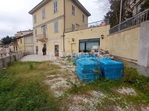 immagine annuncio 2 di 11