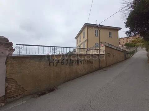 immagine annuncio 3 di 11