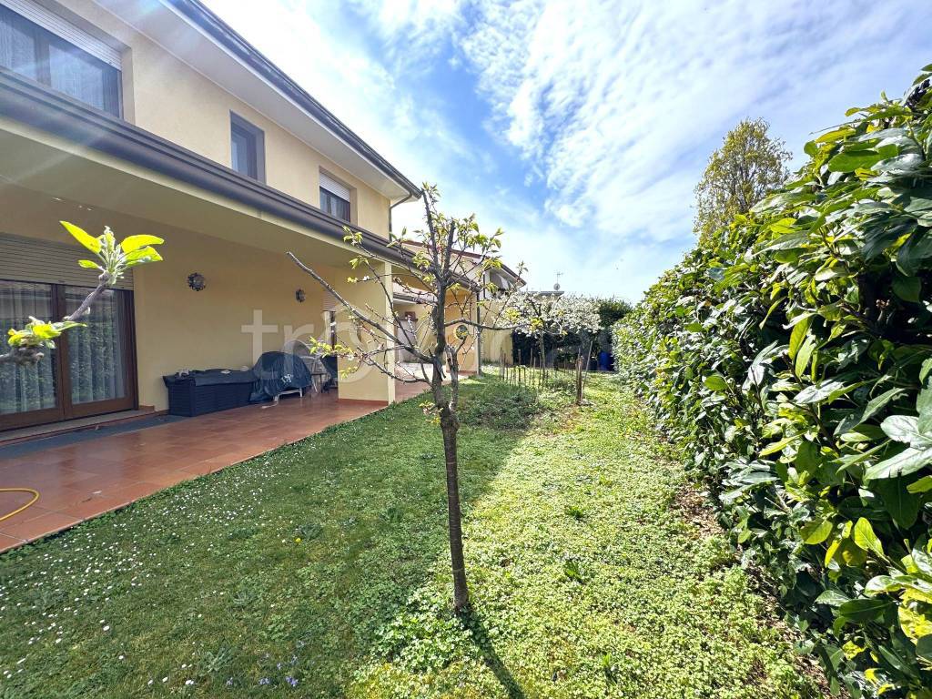 immagine annuncio 9 di 15