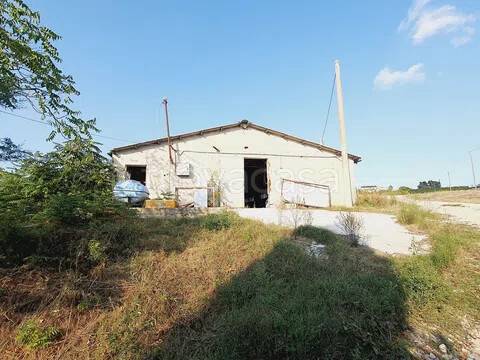 immagine annuncio 6 di 12