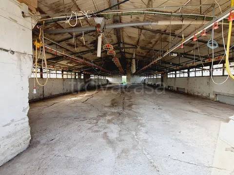 immagine annuncio 7 di 12