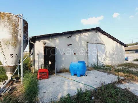 immagine annuncio 8 di 12