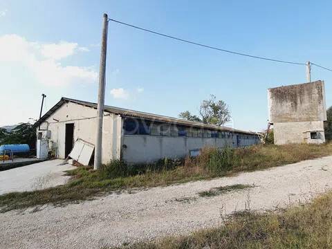 immagine annuncio 10 di 12