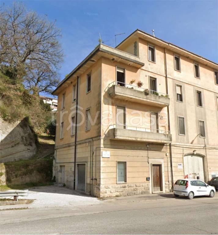 immagine annuncio 9 di 12