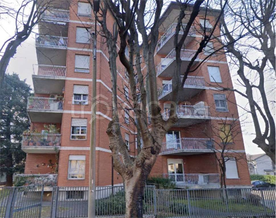 immagine annuncio 5 di 14