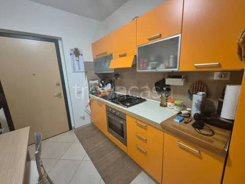 immagine annuncio 1 di 14