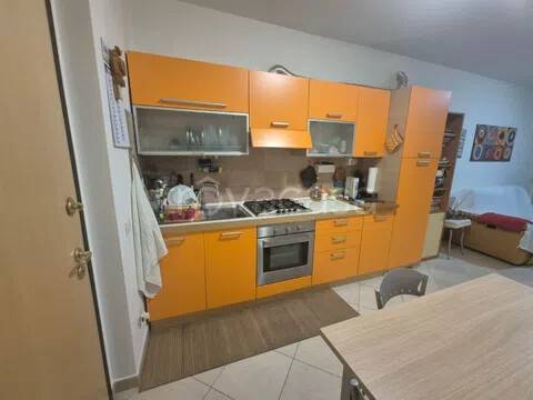 immagine annuncio 2 di 14