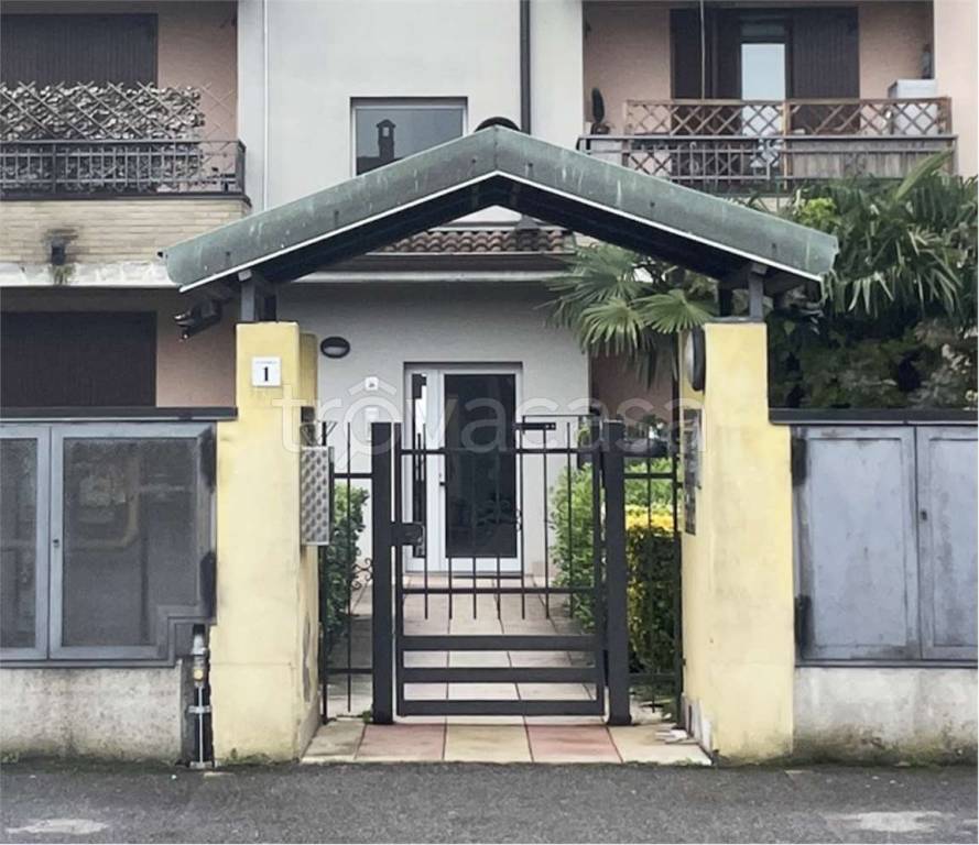 immagine annuncio 2 di 15