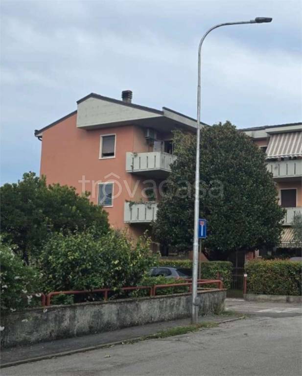 immagine annuncio 2 di 12