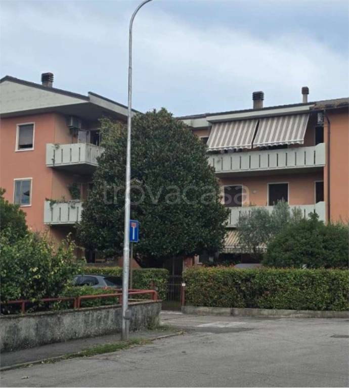 immagine annuncio 4 di 12