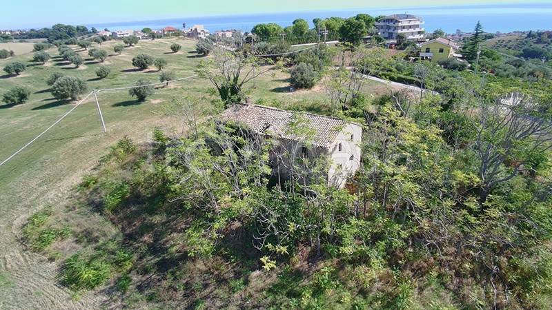 immagine annuncio 4 di 14